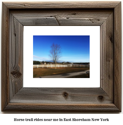 horse trail rides near me in East Shoreham, New York